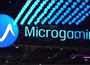 Mengungkap Ragam Permainan Slot Menarik dari Microgaming