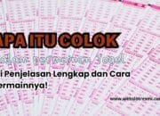 Apa Itu Colok dalam Togel? Ini Penjelasan Lengkap dan Cara Bermainnya!